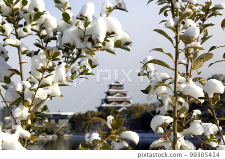 Hiroshima Castle Hiroshima Castle 99305414