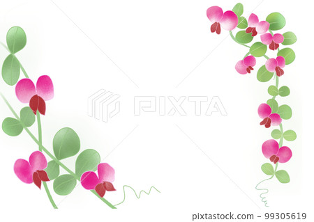 pea pea 99305619