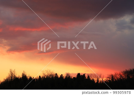Sunset sky and sunset clouds Sunset sky and sunset clouds 99305978