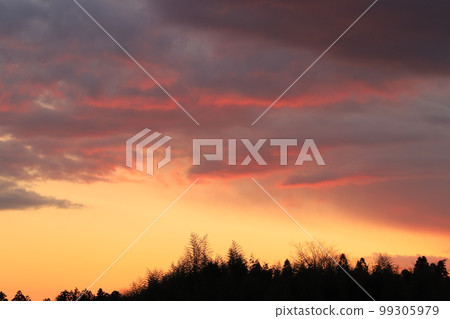 Sunset sky and sunset clouds 99305979