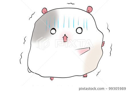 受驚的豚鼠 99305989