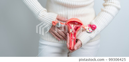 Woman holding Uterus and Ovaries model. Ovarian and Cervical cancer, Cervix disorder, Endometriosis, Hysterectomy, Uterine fibroids, Reproductive system and Pregnancy concept Woman holding Uterus and Ovaries model. Ovarian and Cervical cancer, Cervix disorder, Endometriosis, Hysterectomy, Uterine fibroids, Reproductive system and Pregnancy concept 99306425