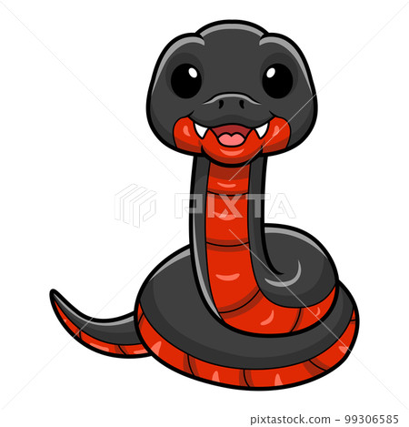 Cute red bellied black snake cartoon Cute red bellied black snake cartoon 99306585