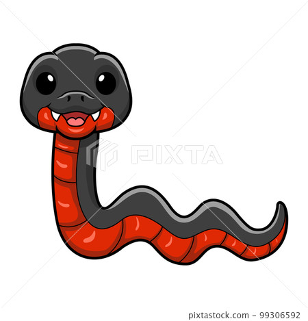 Cute red bellied black snake cartoon Cute red bellied black snake cartoon 99306592
