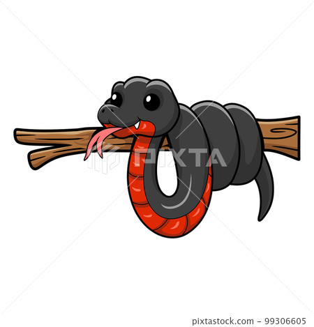 Cute red bellied black snake cartoon on tree branch Cute red bellied black snake cartoon on tree branch 99306605