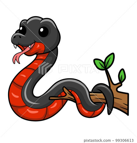 Cute red bellied black snake cartoon on tree branch 99306613