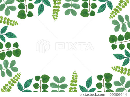 Fresh green fresh green leaves hand drawn frame background 99306644