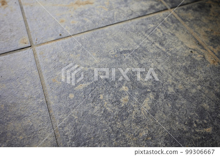 Dirt on tiles, dirt, mud, entrance 99306667