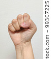 Clenched fist 99307225