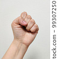 Clenched fist 99307250