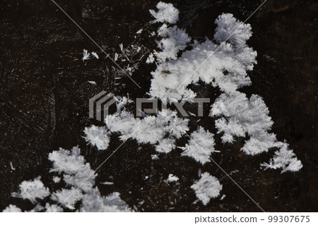 Frost flowers blooming on the Sesuri River in Tsurui Village, Hokkaido Frost flowers blooming on the Sesuri River in Tsurui Village, Hokkaido 99307675