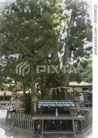 Watercolor-style Omiwa Shrine Mi no Kamisugi Cedar, Sakurai City, Nara Prefecture 99309015