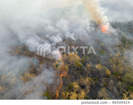 Wildfires release carbon dioxide (CO2) emissions and other greenhouse gases (GHG) that contribute to climate change and global warming. Wildfires release carbon dioxide (CO2) emissions and other greenhouse gases (GHG) that contribute to climate change and global warming. 99309424