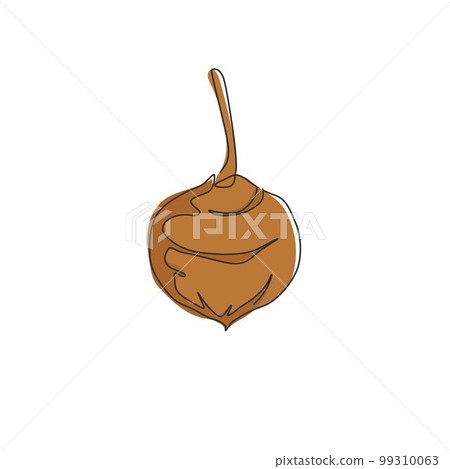 Single continuous line drawing of whole healthy organic jicama for orchard logo identity. Fresh yam vegetable concept for vegan farm icon. Modern one line draw design vector graphic illustration Single continuous line drawing of whole healthy organic jicama for orchard logo identity. Fresh yam vegetable concept for vegan farm icon. Modern one line draw design vector graphic illustration 99310063