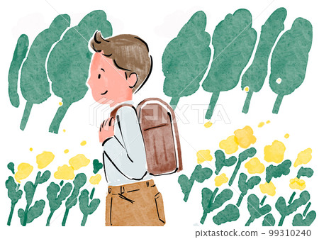 elementary school boy elementary school boy 99310240