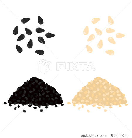 Illustration of sesame 99311093