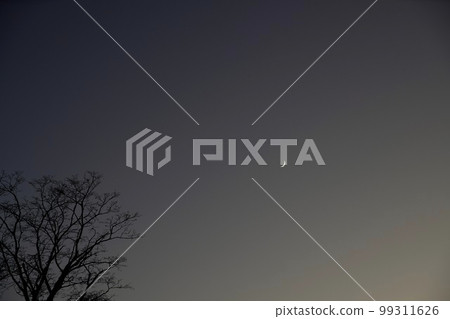 crescent moon and branches crescent moon and branches 99311626