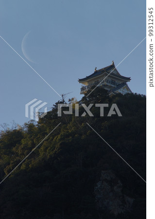Gifu Castle and the Moon 99312545