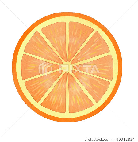 watercolor style sliced orange 99312834
