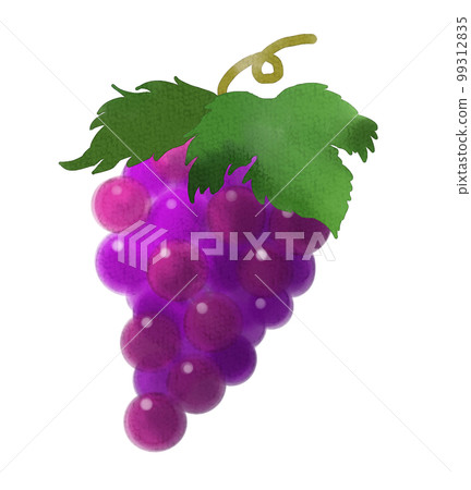 水彩風格的葡萄 水彩風格的葡萄 99312835