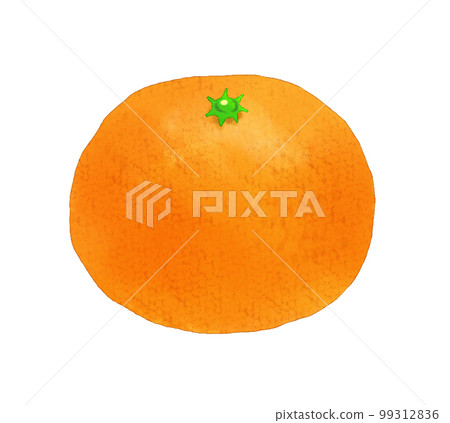 Watercolor-style oranges 99312836