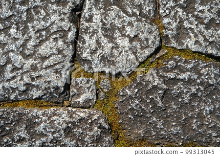 鵝卵石和苔蘚 99313045