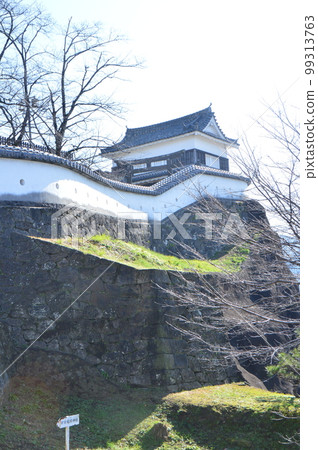 從舊橋入口(大分縣臼杵公園/臼杵市)看的臼杵城堡 從舊橋入口(大分縣臼杵公園/臼杵市)看的臼杵城堡 99313763