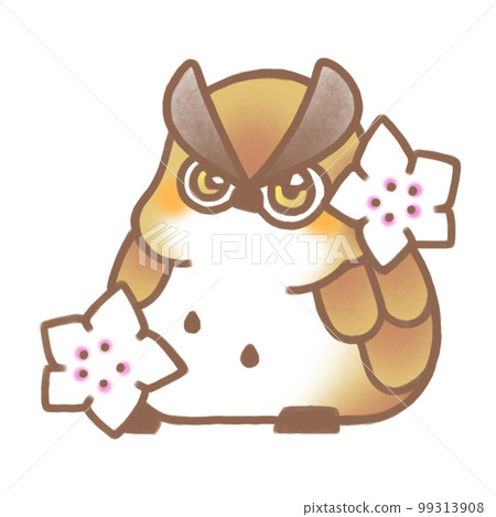 white flower and horned owl 99313908