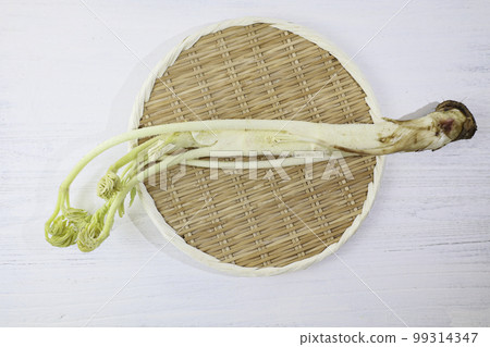 山尾（栃木縣出身的“那須的牛堂遙”） 99314347