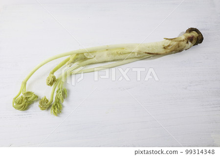 山尾（栃木縣出身的“那須的牛堂遙”） 99314348