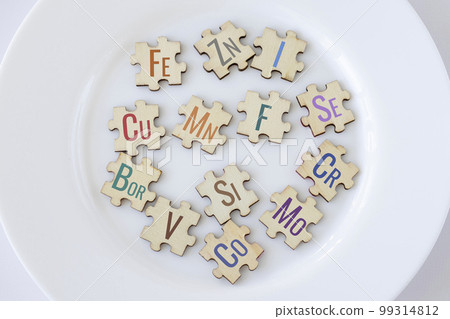 Set of puzzles on a plate with 13 essential micronutrients with multicolored inscriptions icons. Fe, Zn, I, Cu, Me, F, Se, Bor, Si, Cr, V, Co, Mo. Biologically important elements. The concept of 99314812