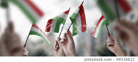 A group of people holding small flags of the Hungary in their hands 99316622