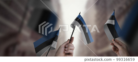 A group of people holding small flags of the Estonia in their hands 99316659