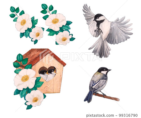 Illustration of Great Tit and Naniwa Ibara 99316790
