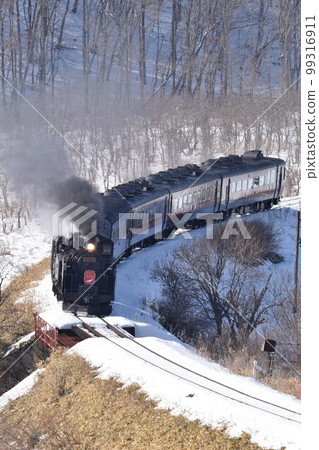 A steam locomotive going through Kushiro Wetland in sunny winter A steam locomotive going through Kushiro Wetland in sunny winter 99316911