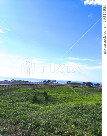 Nature around Lake Ichi of the Shiretoko Five Lakes 99316986