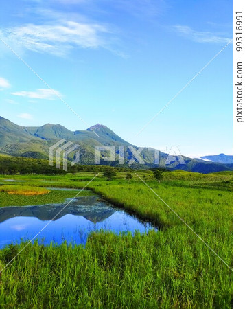 知床五湖之一及其絕景 知床五湖之一及其絕景 99316991