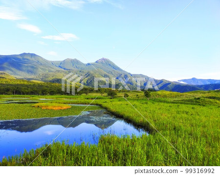 知床五湖之一及其絕景 99316992
