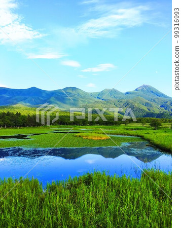 知床五湖之一及其絕景 99316993