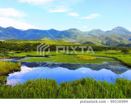 知床五湖之一及其絕景 99316994