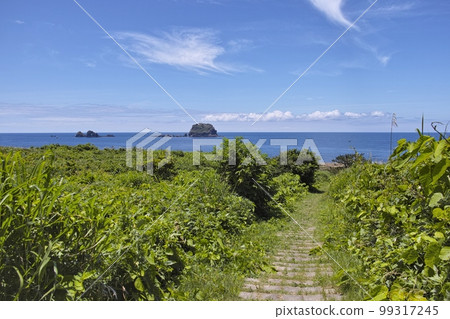 夏天的飛島 夏天的飛島 99317245
