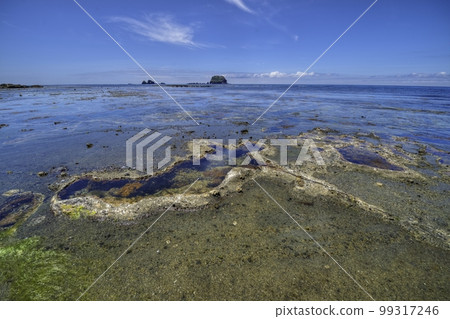 夏天的飛島 99317246