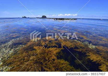 夏天的飛島 夏天的飛島 99317407