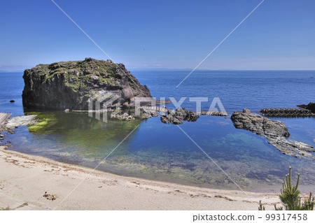 夏天的飛島 夏天的飛島 99317458