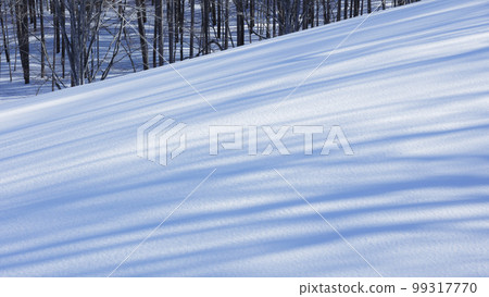 Tree shadow background material 99317770