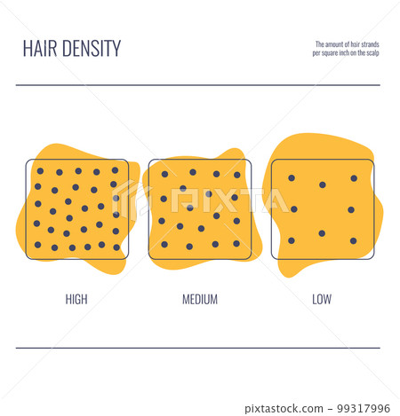 Hair density types chart of low, medium, high strand volume 99317996