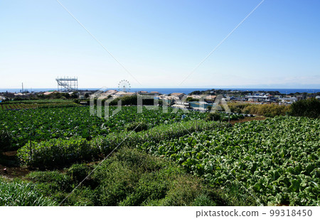 Scenery from Nagai Uminote Park (Soleil Hill), Yokosuka City Scenery from Nagai Uminote Park (Soleil Hill), Yokosuka City 99318450