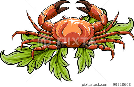 Crab isolated on white background. vector illustration 99318668