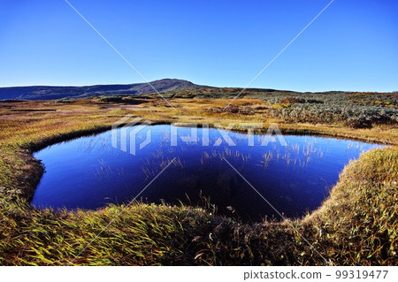 Group of Ponds in Midagahara Group of Ponds in Midagahara 99319477