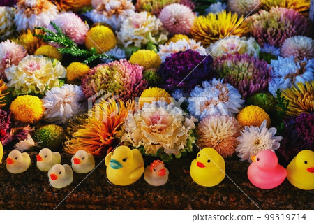 小鴨和花洗水 99319714